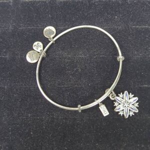 Alex & Ani Limited Edition 2017 Snowflake Bangle Charm Bracelet Silver Tone